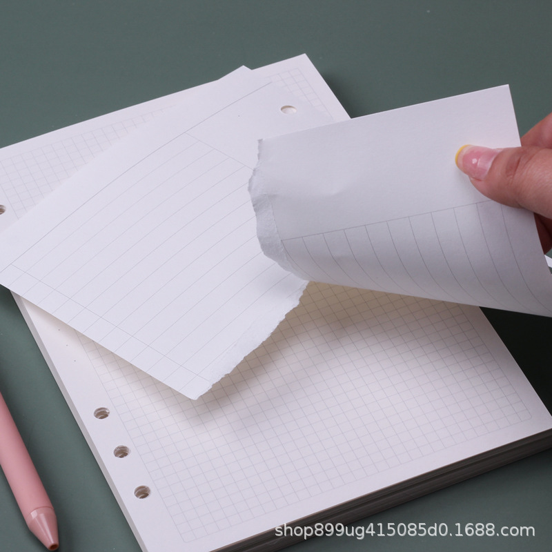 Wkład do segregatora spiralneg – A5 Spiral Dotted Grid Notebook recenzja i cena